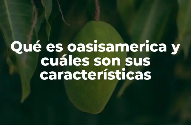 Qué es Oasisamerica y Cuáles Son Sus Características