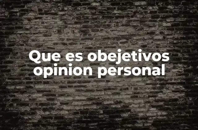 Que es Obejetivos Opinion Personal