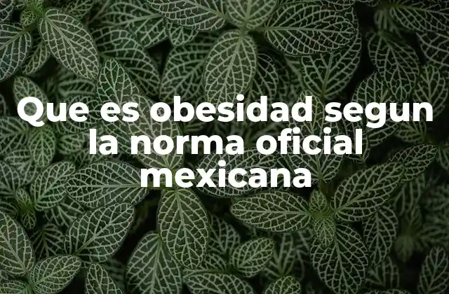 Que es Obesidad Segun la Norma Oficial Mexicana