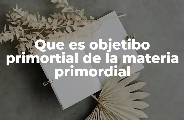Que es Objetibo Primortial de la Materia Primordial