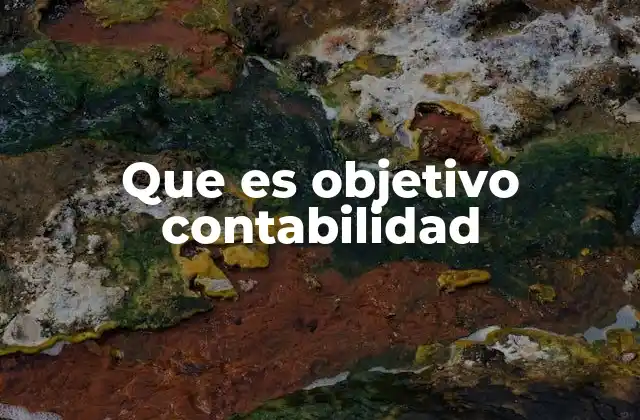 Que es Objetivo Contabilidad