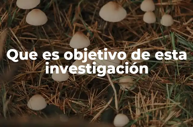 Que es Objetivo de Esta Investigación