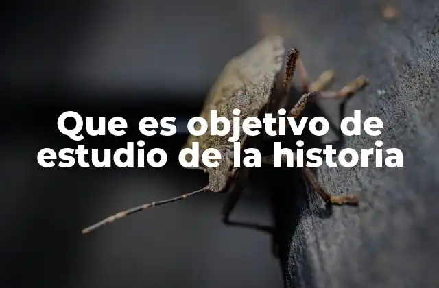 El pasado como espejo del presente