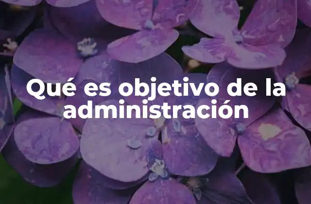 Qué es Objetivo de la Administración