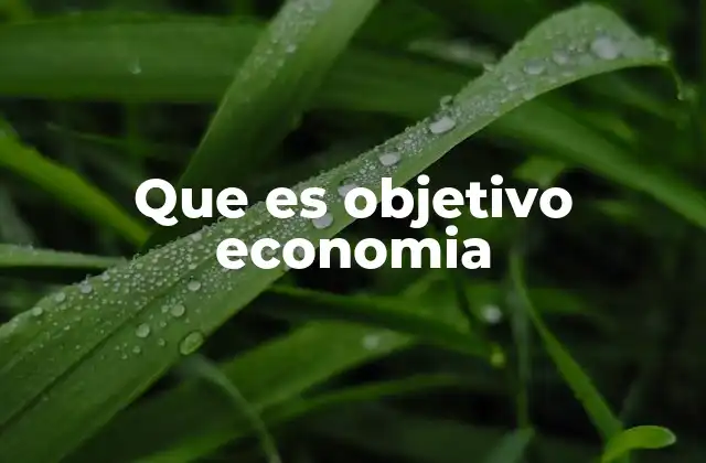 Que es Objetivo Economia