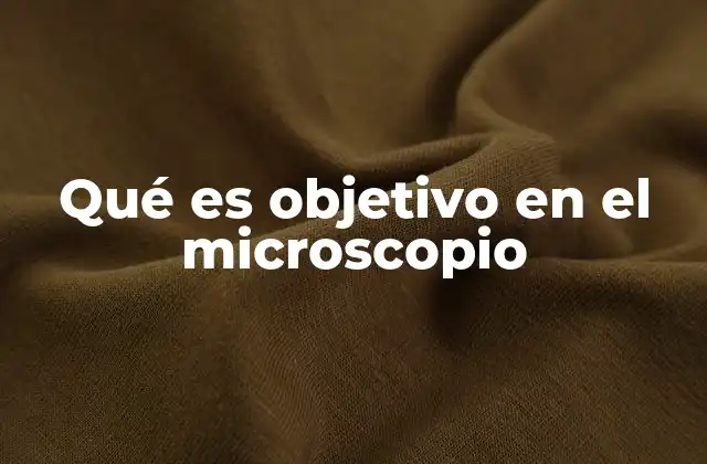 Componentes esenciales del sistema óptico del microscopio