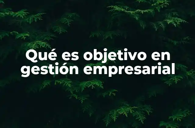 Qué es Objetivo en Gestión Empresarial
