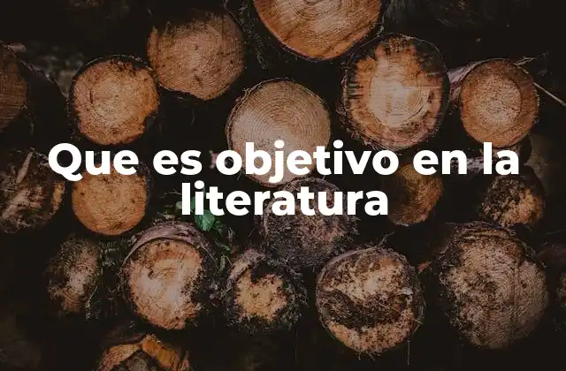 Que es Objetivo en la Literatura