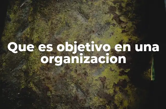 Que es Objetivo en una Organizacion