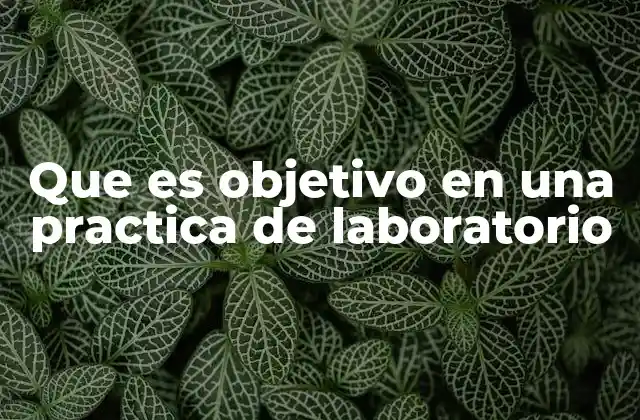 Que es Objetivo en una Practica de Laboratorio
