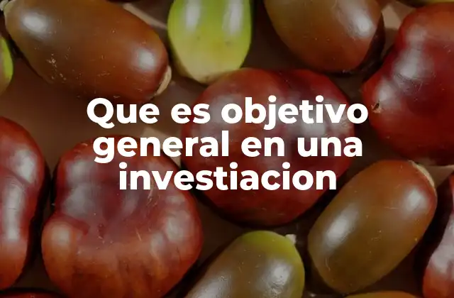 Que es Objetivo General en una Investiacion