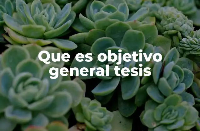 Que es Objetivo General Tesis