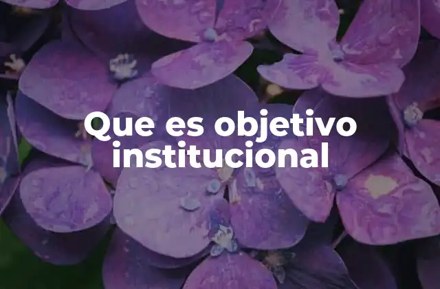 Que es Objetivo Institucional