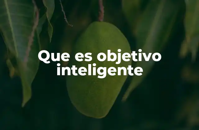 Que es Objetivo Inteligente