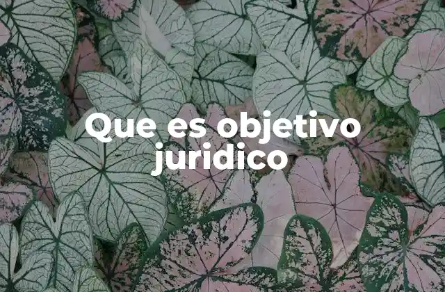 Que es Objetivo Juridico