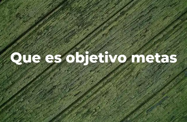 Que es Objetivo Metas