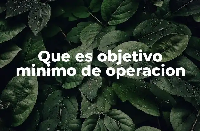 Que es Objetivo Minimo de Operacion