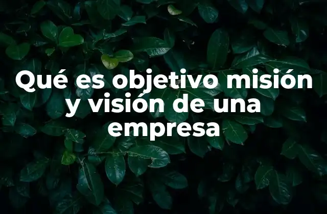 Qué es Objetivo Misión y Visión de una Empresa
