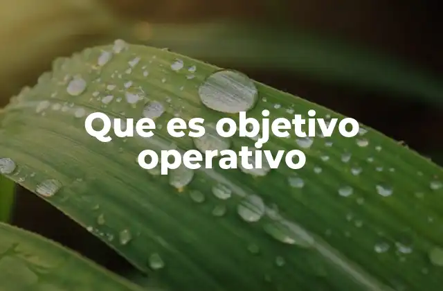 Que es Objetivo Operativo