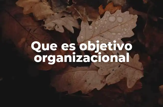 Que es Objetivo Organizacional