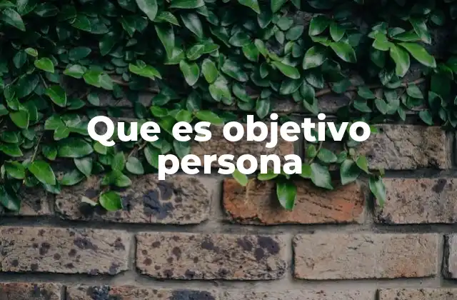 Que es Objetivo Persona