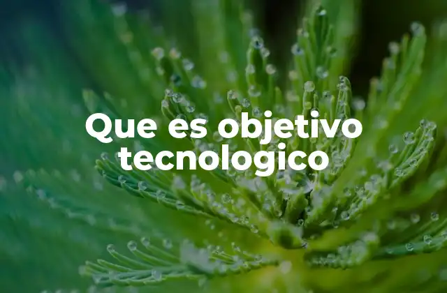 Que es Objetivo Tecnologico