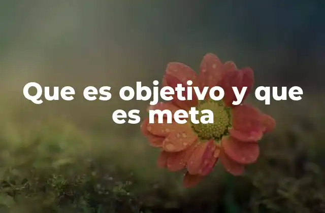 Que es Objetivo y que es Meta