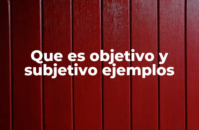 Que es Objetivo y Subjetivo Ejemplos