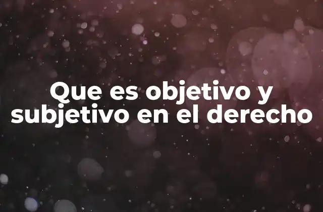 Que es Objetivo y Subjetivo en el Derecho
