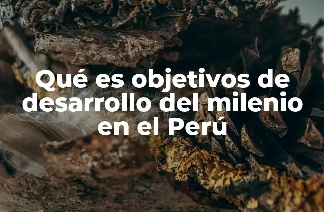 Qué es Objetivos de Desarrollo Del Milenio en el Perú