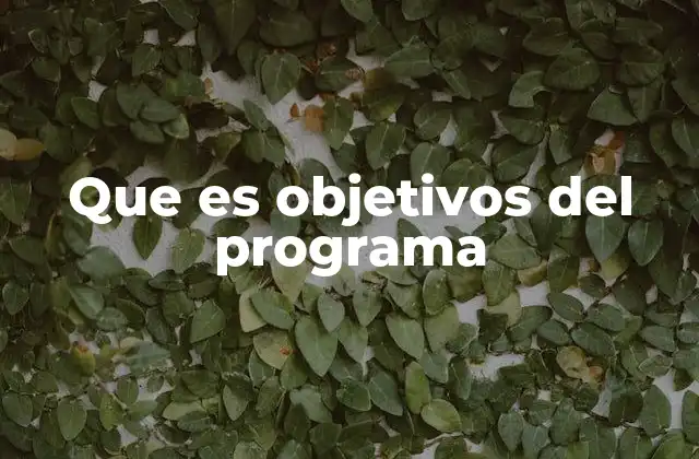 Que es Objetivos Del Programa 2 La importancia de tener objetivos claros en un programa
