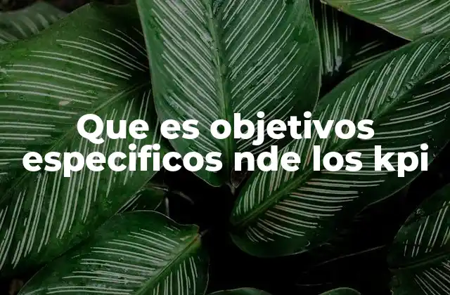 La importancia de los objetivos en la medición del desempeño empresarial