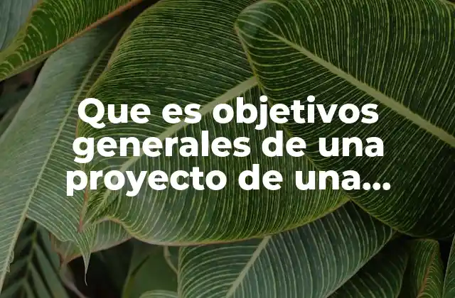 La importancia de los objetivos generales en la planificación empresarial