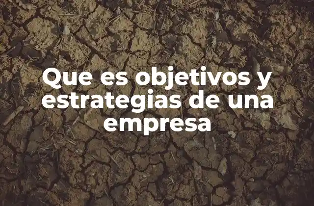 Que es Objetivos y Estrategias de una Empresa