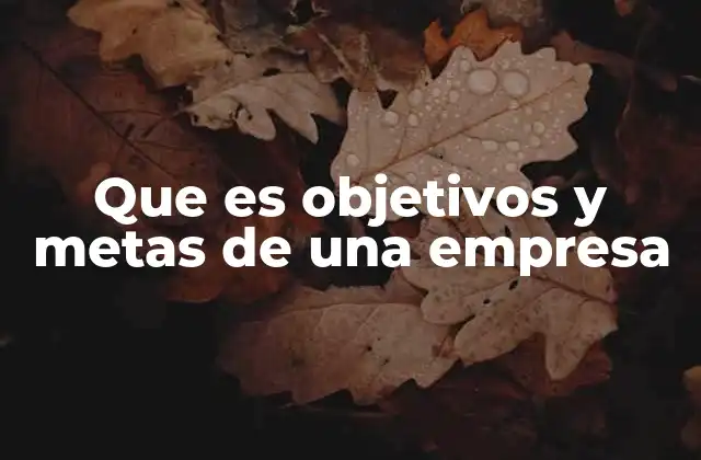 Que es Objetivos y Metas de una Empresa
