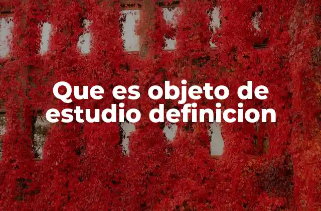 Que es Objeto de Estudio Definicion