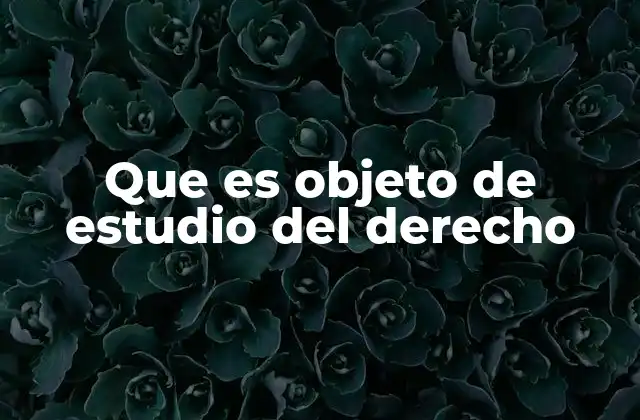 Que es Objeto de Estudio Del Derecho