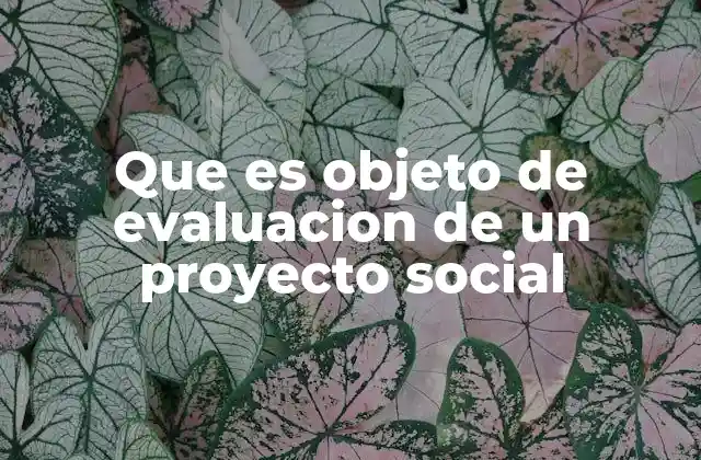 Que es Objeto de Evaluacion de un Proyecto Social