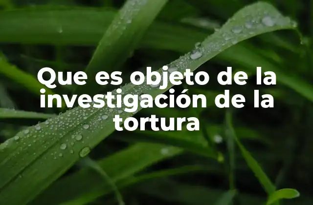 Que es Objeto de la Investigación de la Tortura
