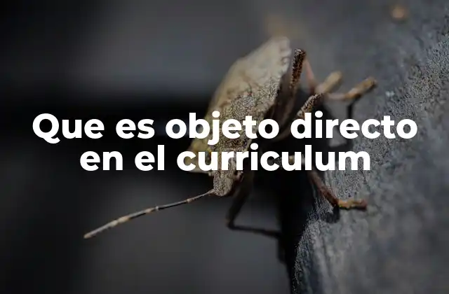 Que es Objeto Directo en el Curriculum