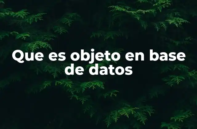 Que es Objeto en Base de Datos