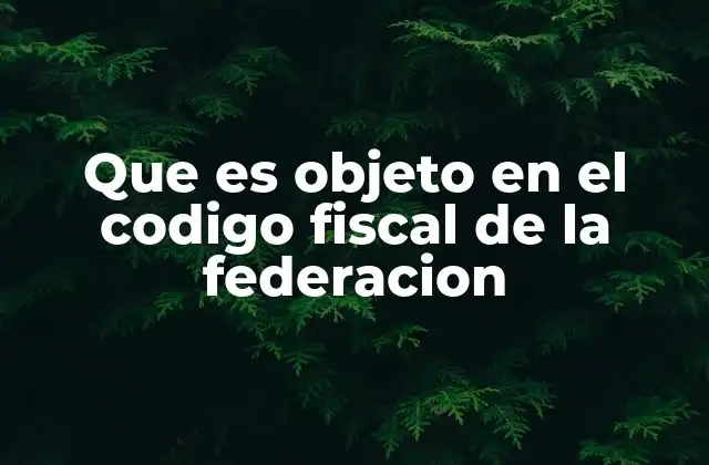 Que es Objeto en el Codigo Fiscal de la Federacion