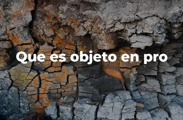 Que es Objeto en Pro