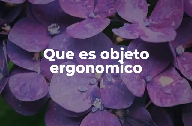 Que es Objeto Ergonomico 2 El diseño centrado en el usuario