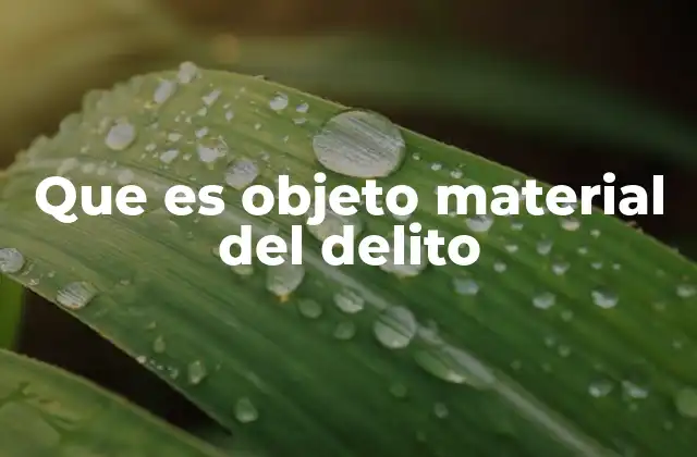 Que es Objeto Material Del Delito
