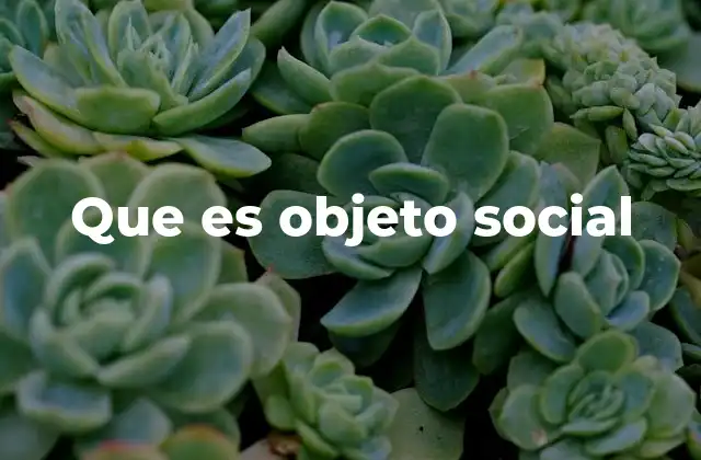 Que es Objeto Social