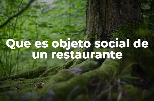 Que es Objeto Social de un Restaurante