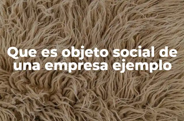 Que es Objeto Social de una Empresa Ejemplo
