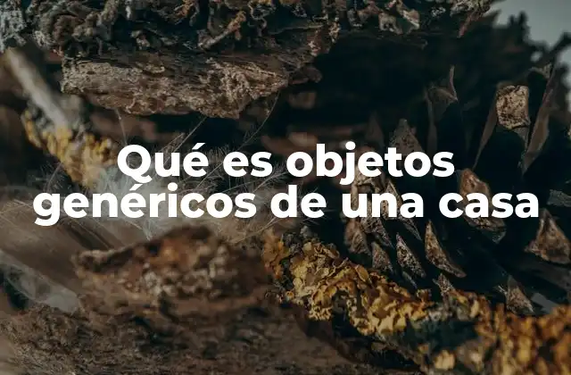 Qué es Objetos Genéricos de una Casa