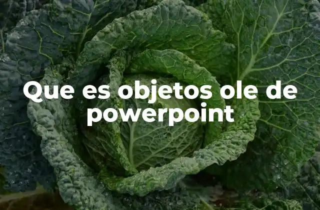 Que es Objetos Ole de Powerpoint